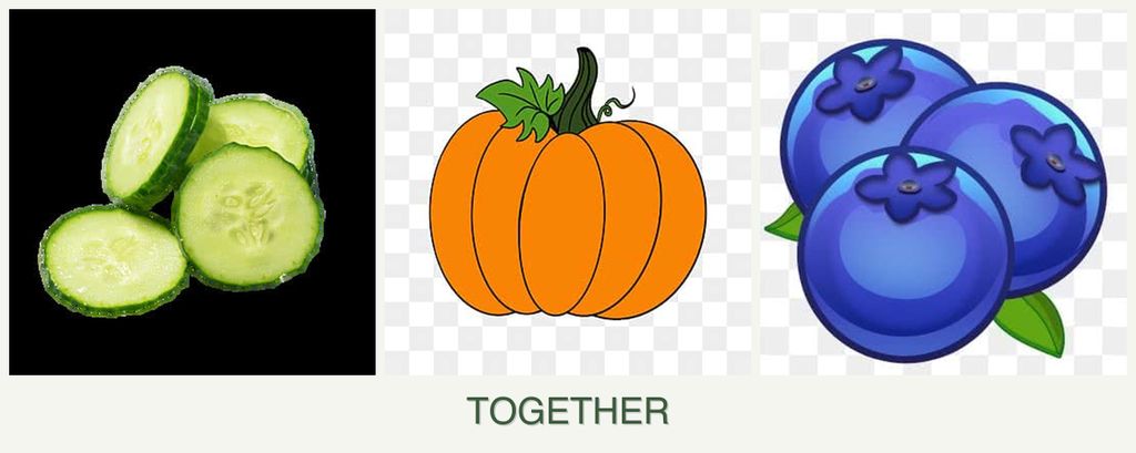 Can you plant cucumbers, pumpkin and blueberries together?