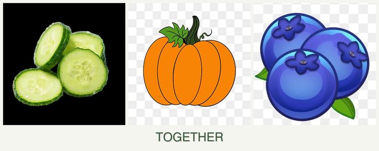 Can you plant cucumbers, pumpkin and blueberries together?