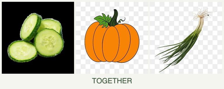 Can you plant cucumbers, pumpkin and chives together?
