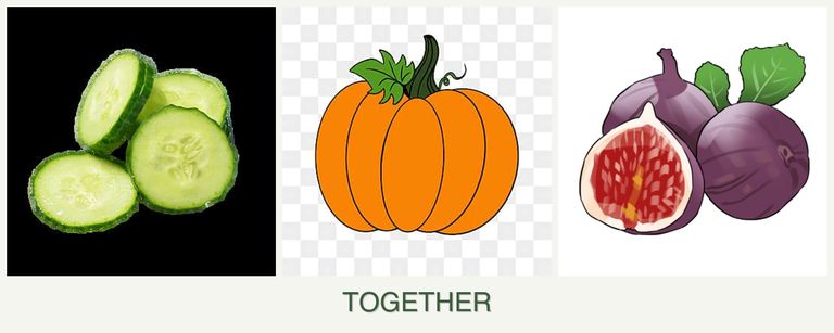 Can you plant cucumbers, pumpkin and figs together?