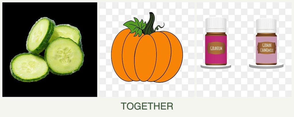 Can you plant cucumbers, pumpkin and geraniums together?