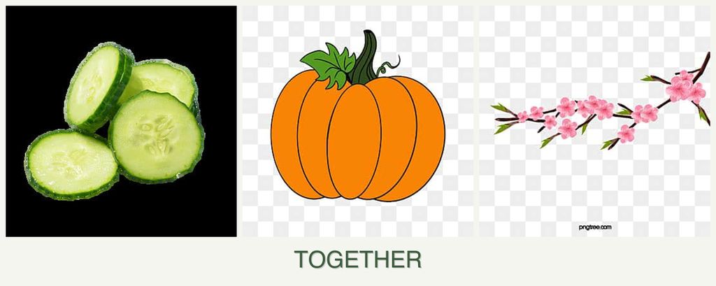 Can you plant cucumbers, pumpkin and peaches together?