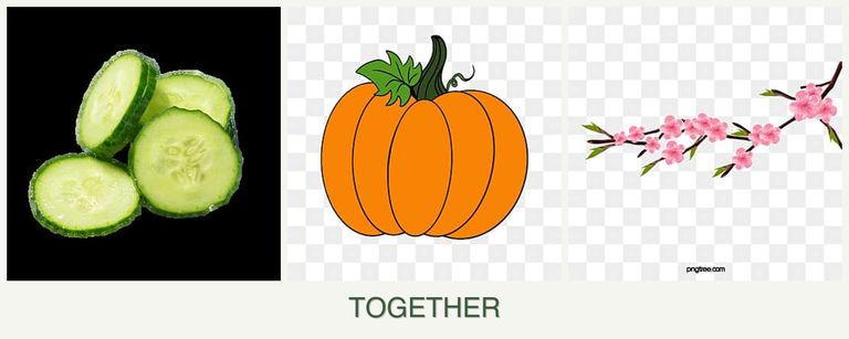 Can you plant cucumbers, pumpkin and peaches together?