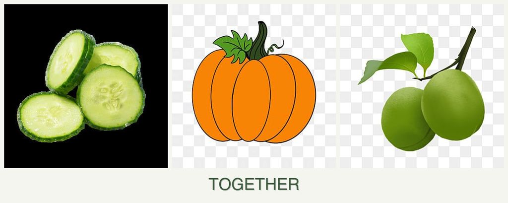 Can you plant cucumbers, pumpkin and plums together?