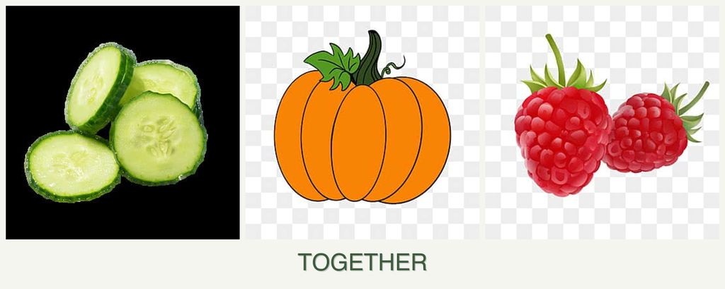 Can you plant cucumbers, pumpkin and raspberries together?