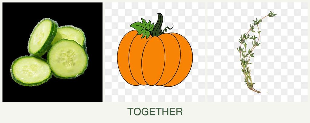 Can you plant cucumbers, pumpkin and thyme together?
