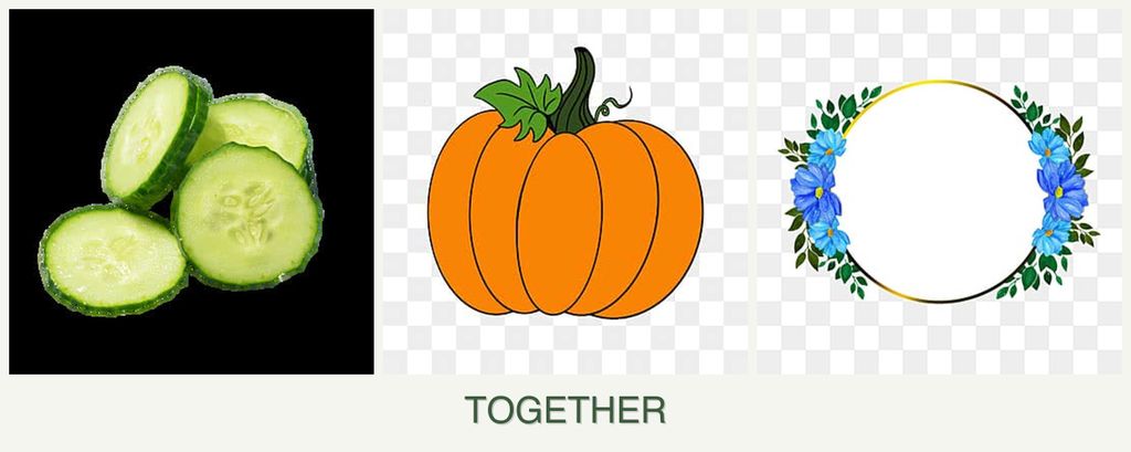Can you plant cucumbers, pumpkin and zinnias together?