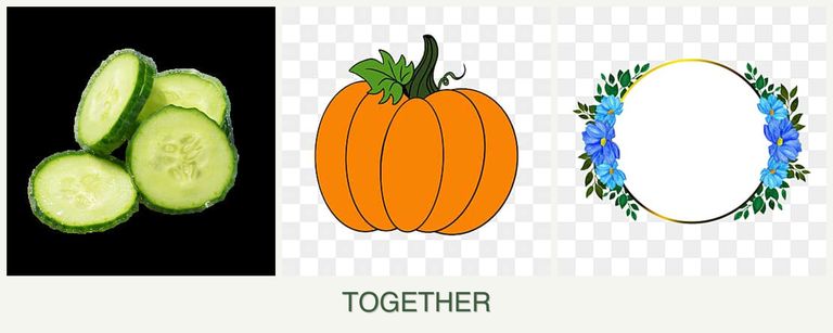 Can you plant cucumbers, pumpkin and zinnias together?