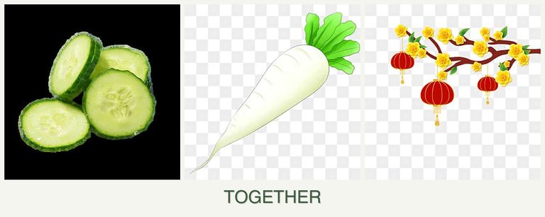 Can you plant cucumbers, radishes and apricots together?