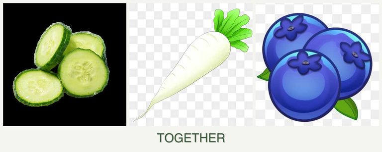 Can you plant cucumbers, radishes and blueberries together?