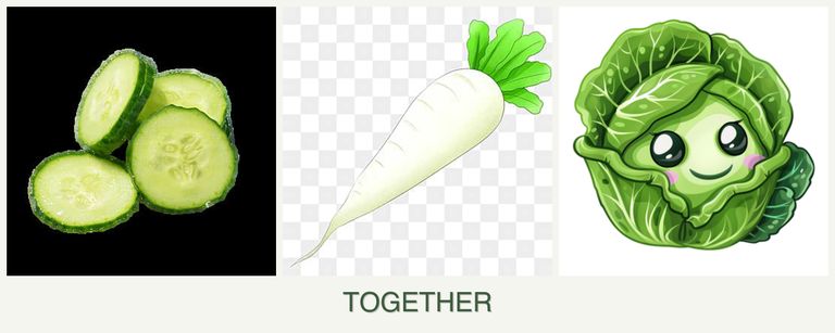 Can you plant cucumbers, radishes and cabbage together?