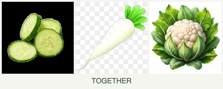 Can you plant cucumbers, radishes and cauliflower together?