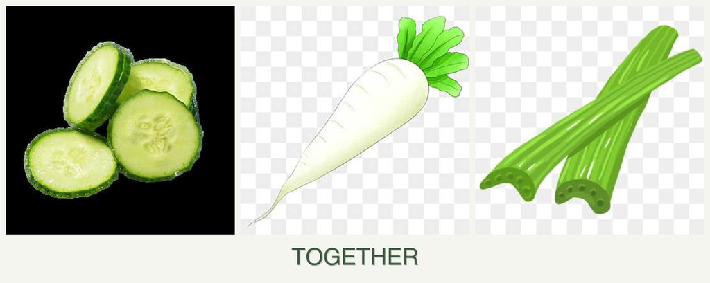 Can you plant cucumbers, radishes and celery together?