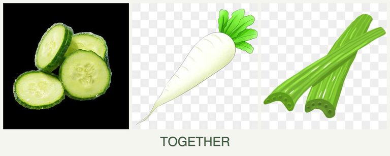 Can you plant cucumbers, radishes and celery together?