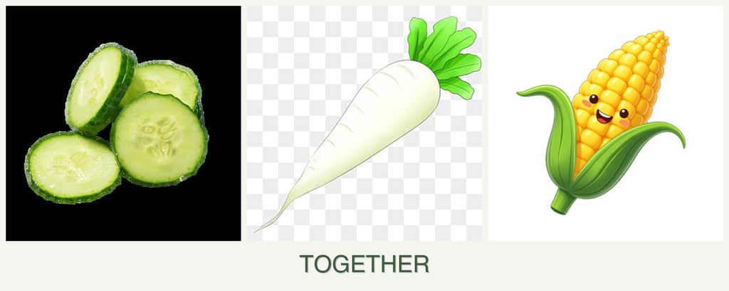 Can you plant cucumbers, radishes and corn together?