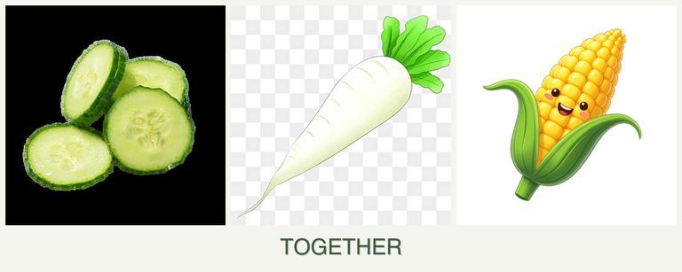 Can you plant cucumbers, radishes and corn together?