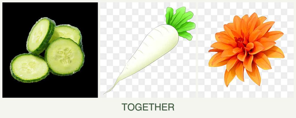 Can you plant cucumbers, radishes and dahlias together?