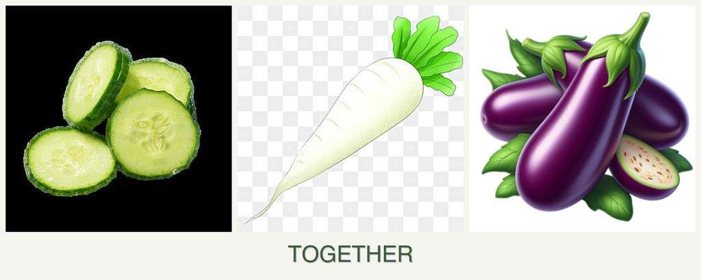 Can you plant cucumbers, radishes and eggplant together?