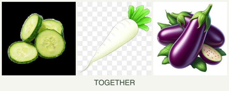 Can you plant cucumbers, radishes and eggplant together?