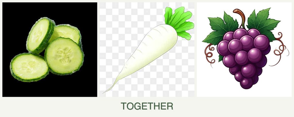 Can you plant cucumbers, radishes and grapes together?