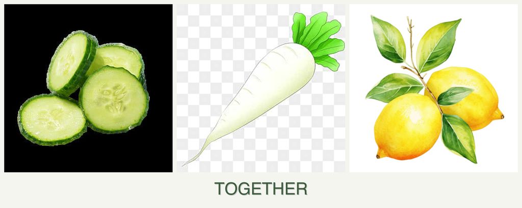 Can you plant cucumbers, radishes and lemons together?