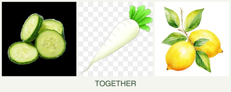 Can you plant cucumbers, radishes and lemons together?