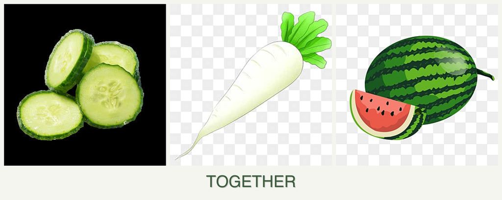 Can you plant cucumbers, radishes and melons together?
