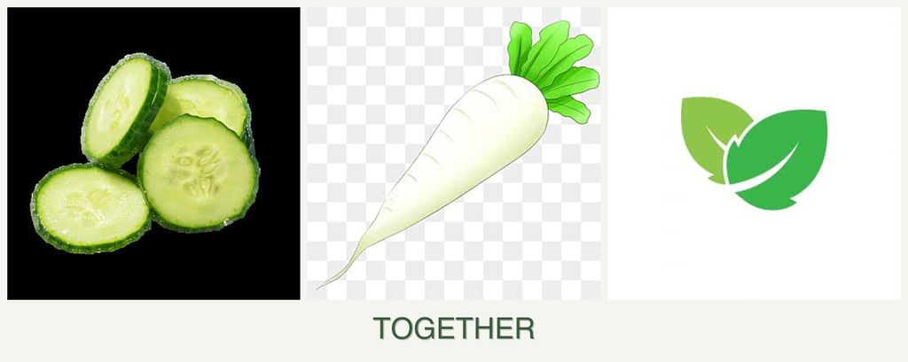 Can you plant cucumbers, radishes and mint together?