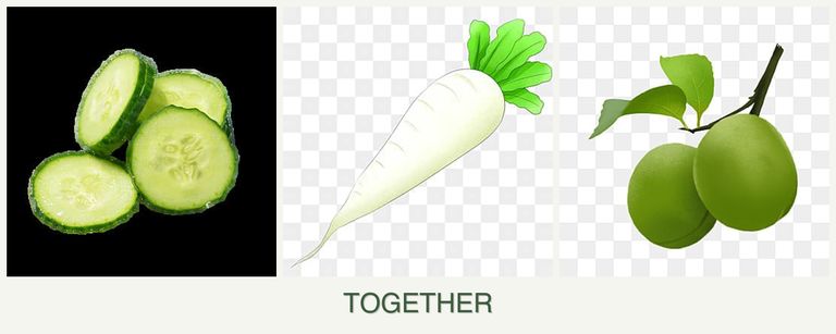 Can you plant cucumbers, radishes and plums together?