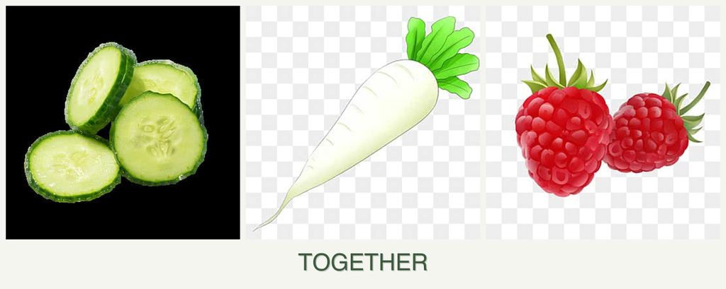 Can you plant cucumbers, radishes and raspberries together?