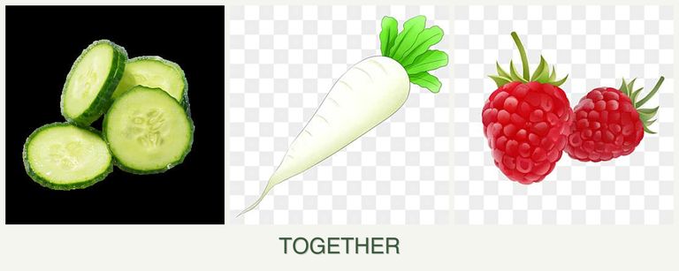 Can you plant cucumbers, radishes and raspberries together?