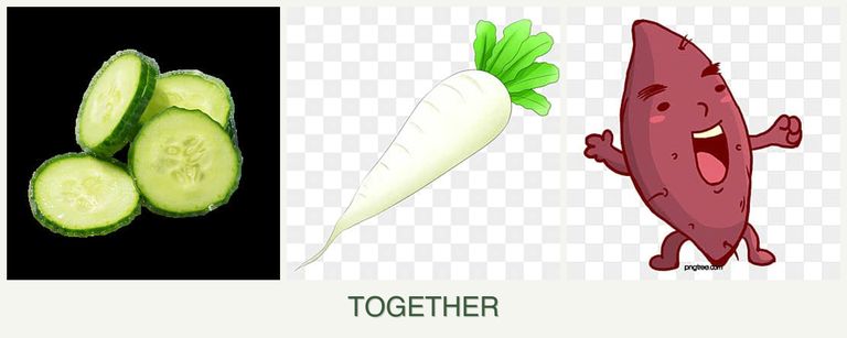 Can you plant cucumbers, radishes and sweet potatoes together?