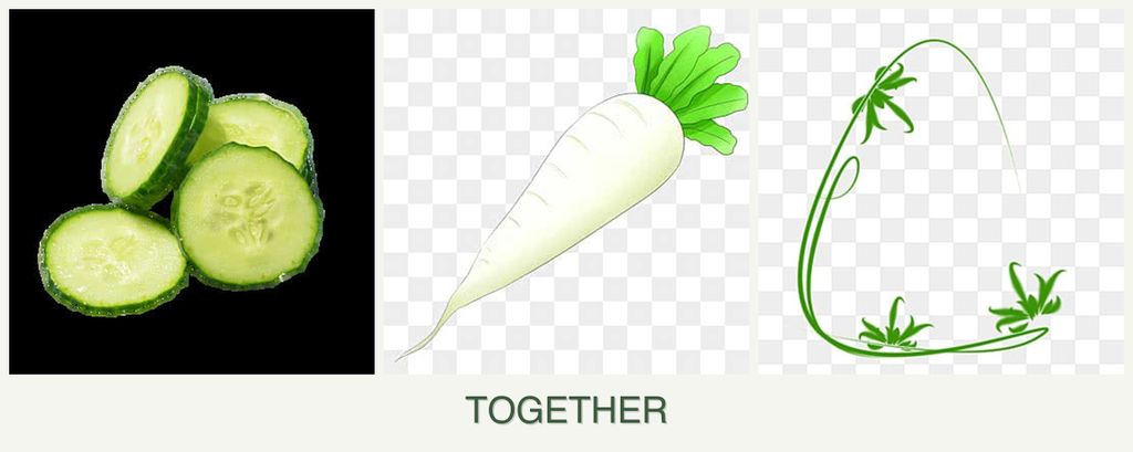 Can you plant cucumbers, radishes and tarragon together?