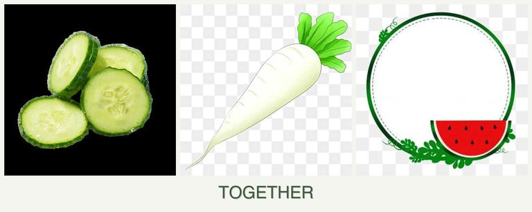 Can you plant cucumbers, radishes and watermelons together?