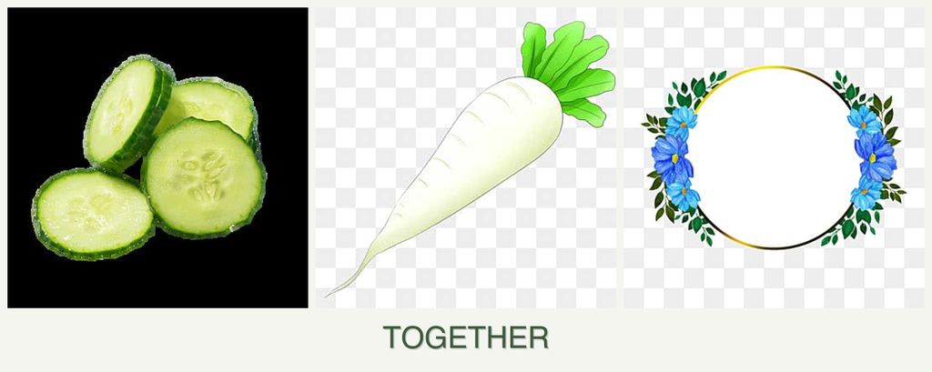 Can you plant cucumbers, radishes and zinnias together?