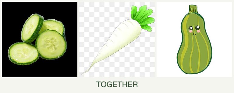 Can you plant cucumbers, radishes and zucchini together?