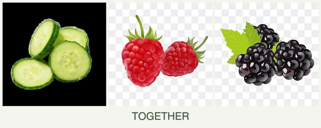 Can you plant cucumbers, raspberries and blackberries together?