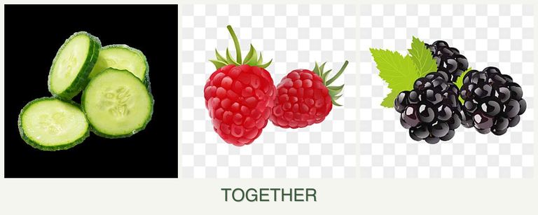 Can you plant cucumbers, raspberries and blackberries together?