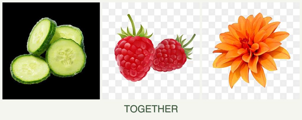 Can you plant cucumbers, raspberries and dahlias together?