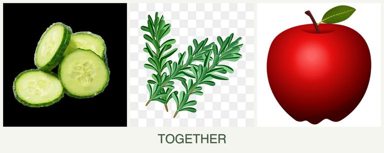 Can you plant cucumbers, rosemary and apples together?