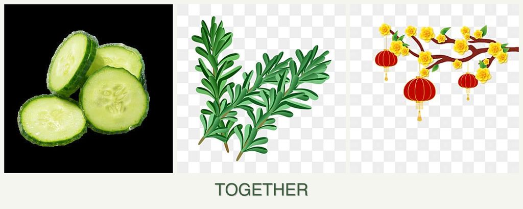 Can you plant cucumbers, rosemary and apricots together?