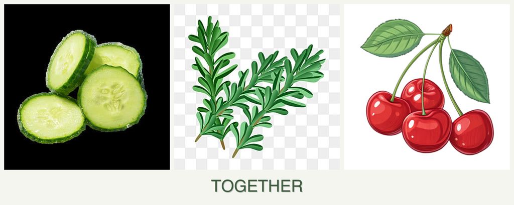 Can you plant cucumbers, rosemary and cherries together?