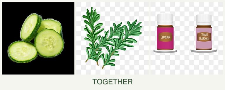 Can you plant cucumbers, rosemary and geraniums together?
