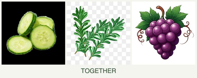 Can you plant cucumbers, rosemary and grapes together?