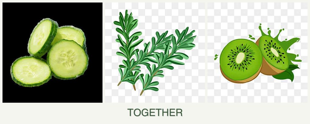 Can you plant cucumbers, rosemary and kiwi together?