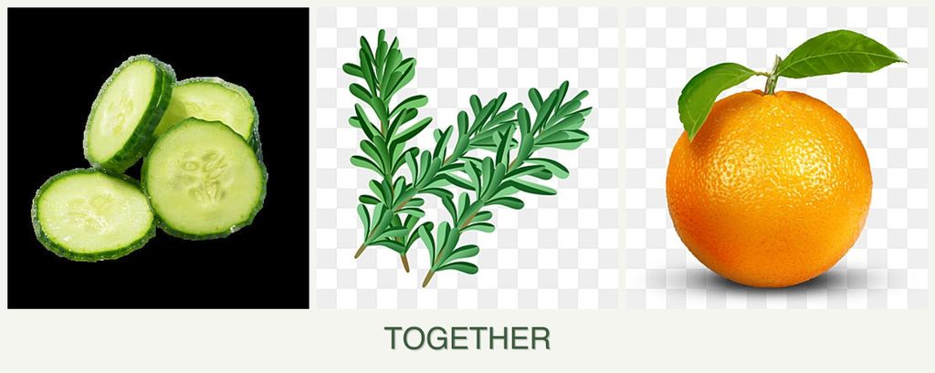 Can you plant cucumbers, rosemary and oranges together?