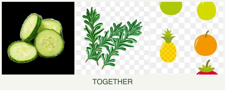 Can you plant cucumbers, rosemary and pears together?