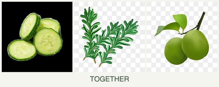Can you plant cucumbers, rosemary and plums together?