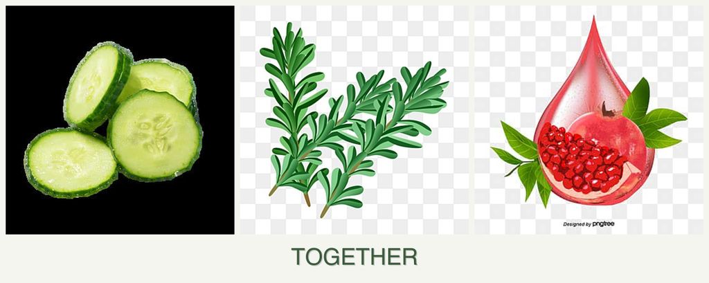 Can you plant cucumbers, rosemary and pomegranates together?