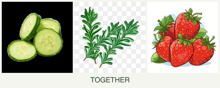 Can you plant cucumbers, rosemary and strawberries together?